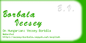 borbala vecsey business card